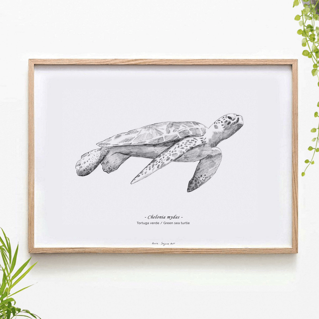 Pencil Turtle