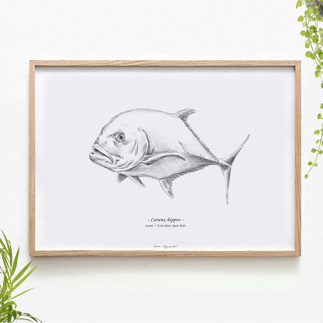 Pencil fish - Crevalle Jack fish
