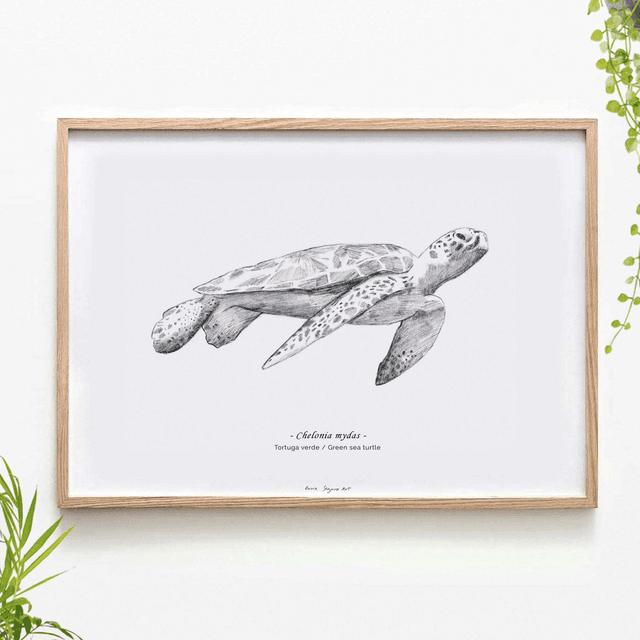 Pencil Turtle